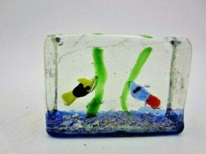 Beautiful Murano Glass Aquarium Cube with Tropical Fish - Image 5